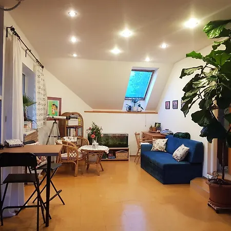 Habitación en casa particular Slunicko *